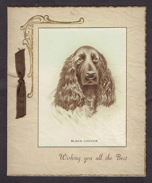 Vintage Birthday Greetings Card Black Cocker Spaniel M & A Jackson Leeds 1948