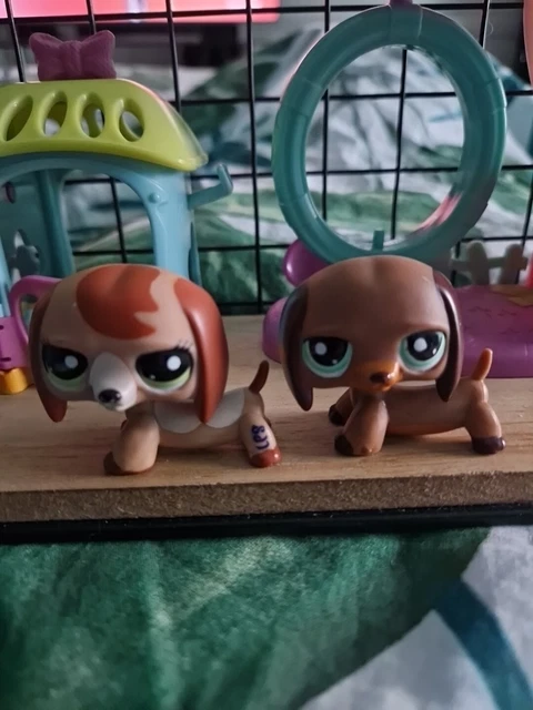 Aazon.es: Littlest Pet Shop Happiest Pet Pairs Portable Collectible