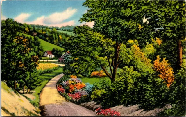 Postcard Cologne Greetings Artist Rendition Backroads New Jersey B72