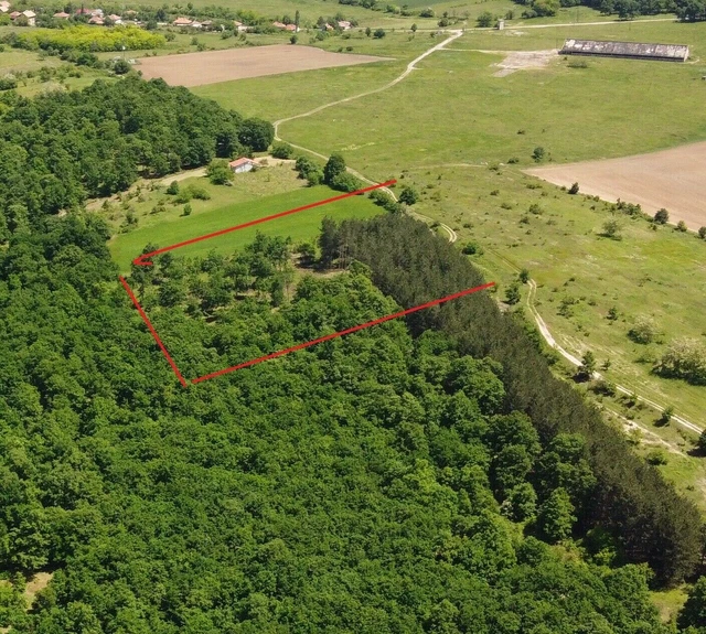 Forest Plot of 1.7 acre in Bulgaria - Suitable For Off-Grid Cabin 3