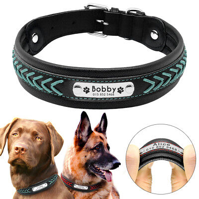 Padded Leather Braided Personalized Dog Collar Name ID for Medium Large Dogs