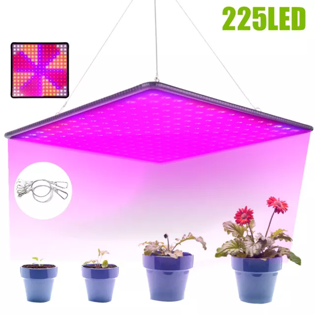 8500W LED Grow Light Panel Full Spectrum Lamp for Indoor Plant Veg Flower NEW