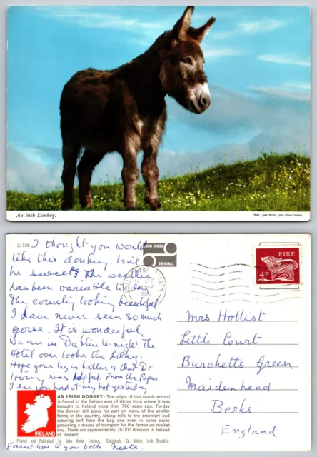 c22722 An Irish Donkey   Ireland John Hinde postcard 1969 stamp