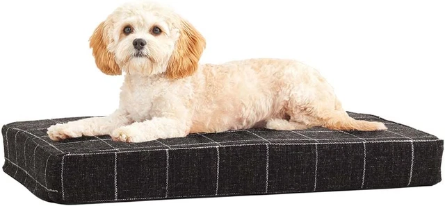 Barkbox Memory Foam Platform Dog Bed | Plush Mattress for Orthopedic Joint Relie