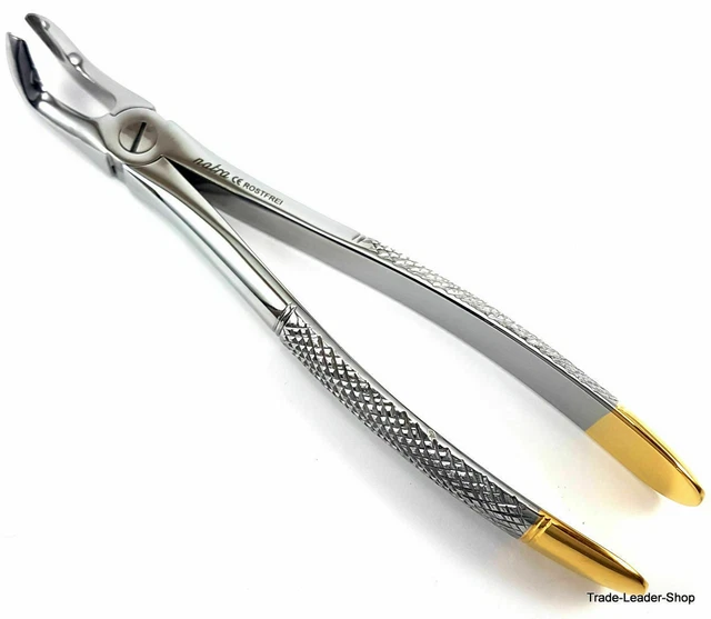 Extraktionszange No.79A Pince à dents Pince dentaire maxillaire mâchoire...