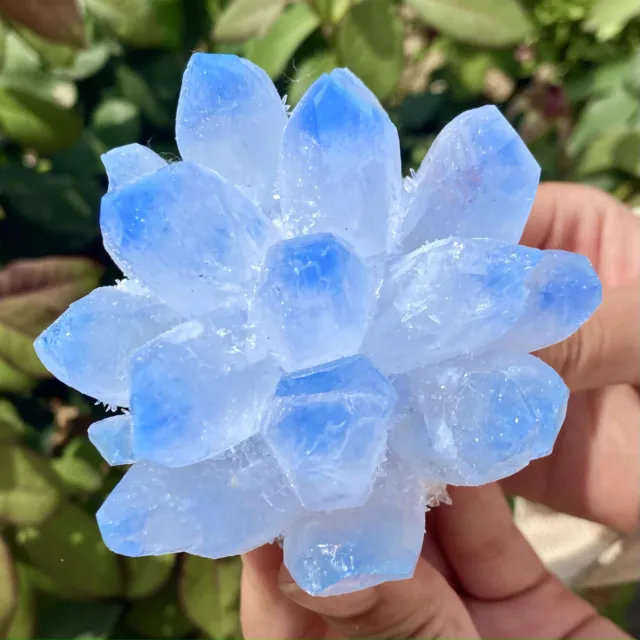 326G New Find sky blue Phantom Quartz Crystal Cluster Mineral Specimen Healing