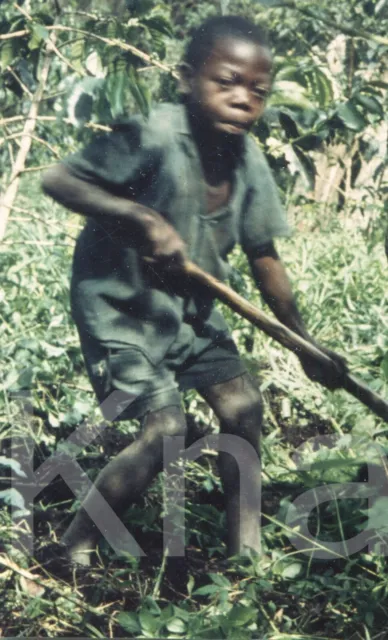 altes Foto Junge im Grünen   in Belgisch Kongo 1956, 9x13cm