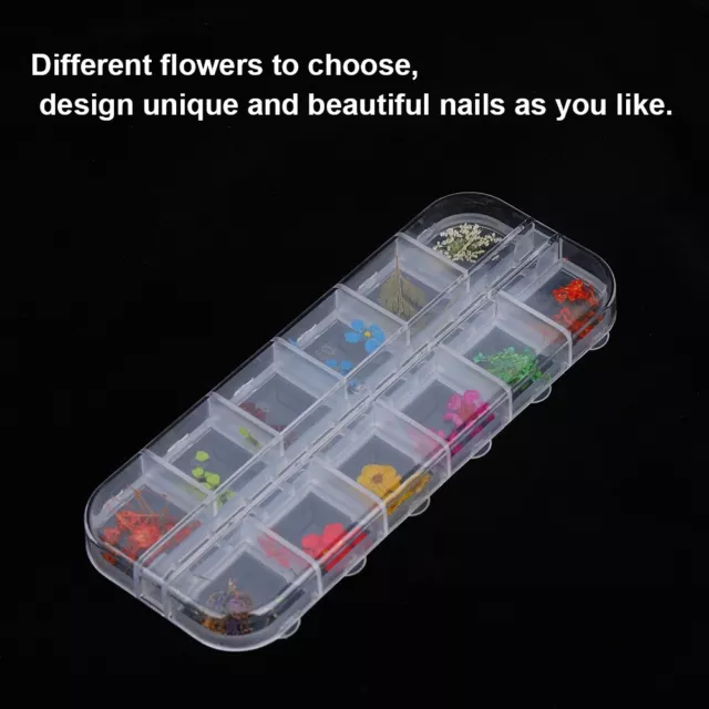 12 Colors Natural Dried Flower For Acrylic UV Gel Nail Art Tips Design Case AGS