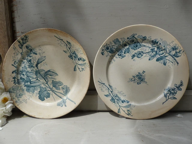 Sarreguemines 2 assiettes très anciennes décor Giroflée + Matricaire bleu vert