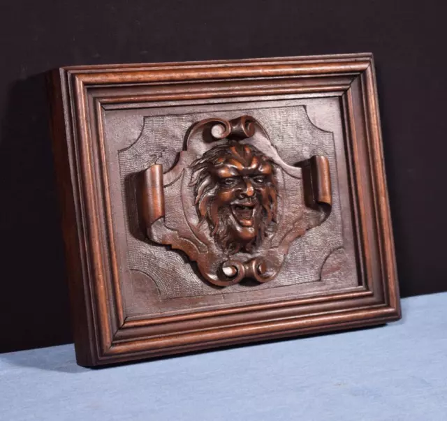 *French Antique Hand Carved Architectural Door Panel Walnut Wood with Face