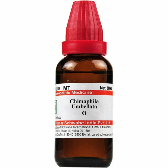 Dr Willmar Schwabe India Chimaphila Umbellata Q Mother Tintura 1 Flacone Di 30ml
