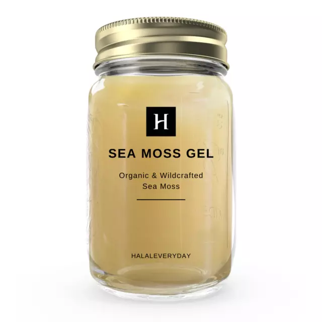 Sea Moss Gel Unflavored 16 oz 100% Pure Raw Wildcrafted Irish Natural Superfood