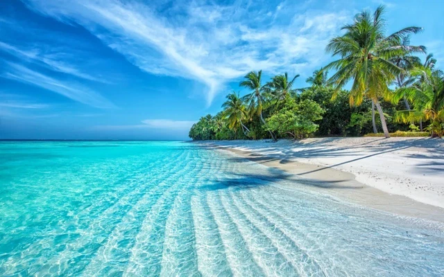 Travel Vacation packages Guranteed Lowest Price Free Quote Wholesale pricing