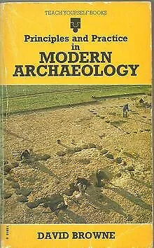 Principles and Practice in Modern Archaeology (Teach Yours... | Livre | état bon