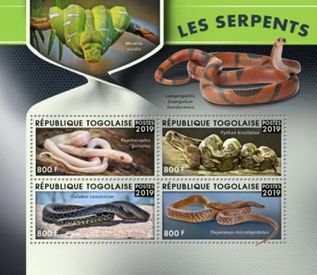 Togo - 2019 Schlangen auf Briefmarken - 4 Briefmarke Blatt - TG190128a