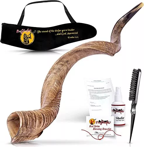 Israel Shofar Set Natural Kudu Horn Shofar Kosher Shofar Yemenite Traditional