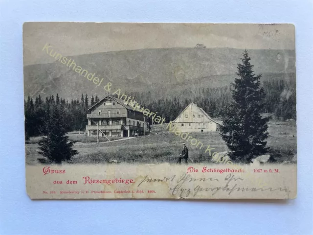 Ak Karpacz Krummhübel Riesengebirge Schlesien, Schlingelbaude, 1901