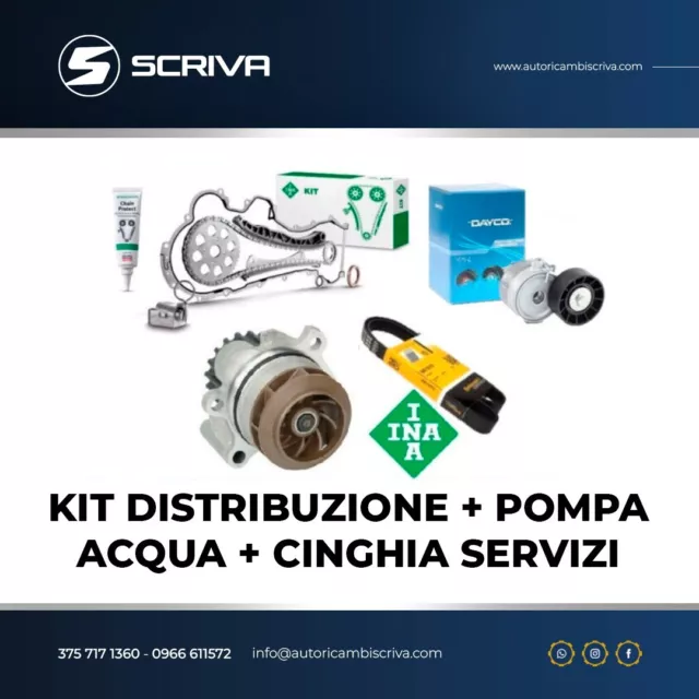 Kit catena distribuzione Punto 1.3 multijet Fiat + pompa acqua e kit servizi INA