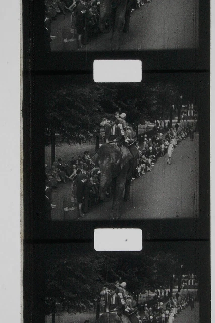 Pathescope Here Comes The ZOO, A Zoological Alphabet Part A To K 9.5mm Film Reel