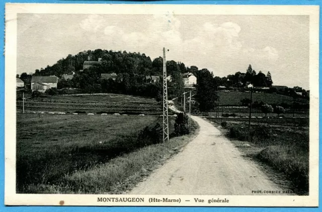 CPA : MONTSAUGEON - Vue générale