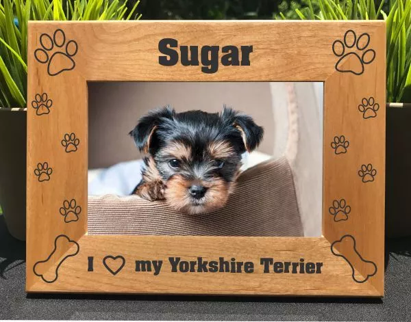 Personalized Engraved // Yorkshire Terrier // Picture Frame