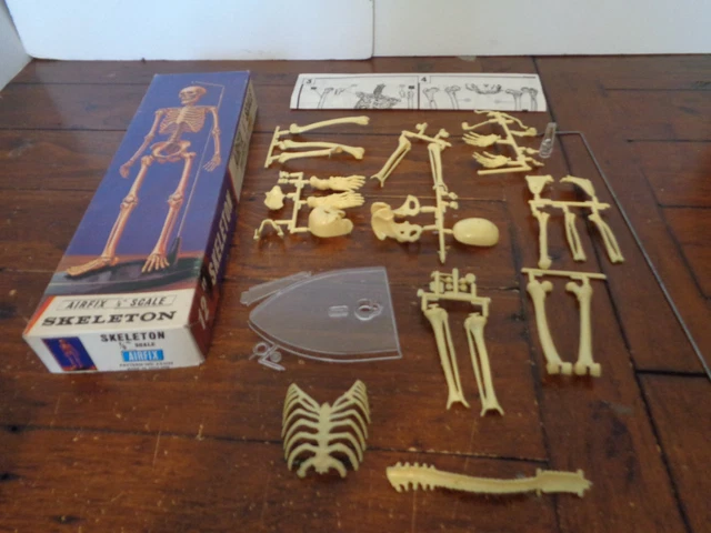 AIRFIX 1/6 SCALE Skeleton model kit £44.99 - PicClick UK