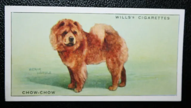 CHOW CHOW   Original 1937 Vintage Dog Card    BD11