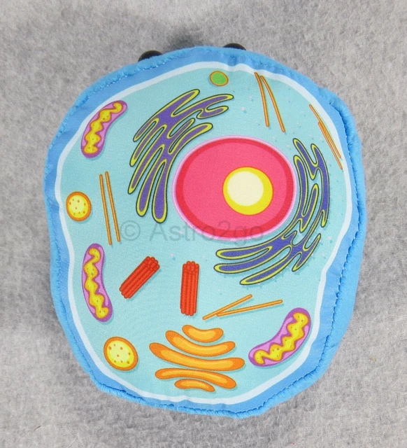 GIANT MICROBESANIMAL CELLSTUFFED Plush Organelles Nucleus Biology Science NEW! £17.08