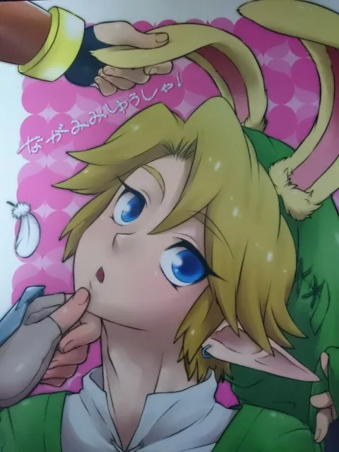 The Legend of Zelda Doujinshi Mob x Link , Zelda x Link (B5 86pages)  morittokoke