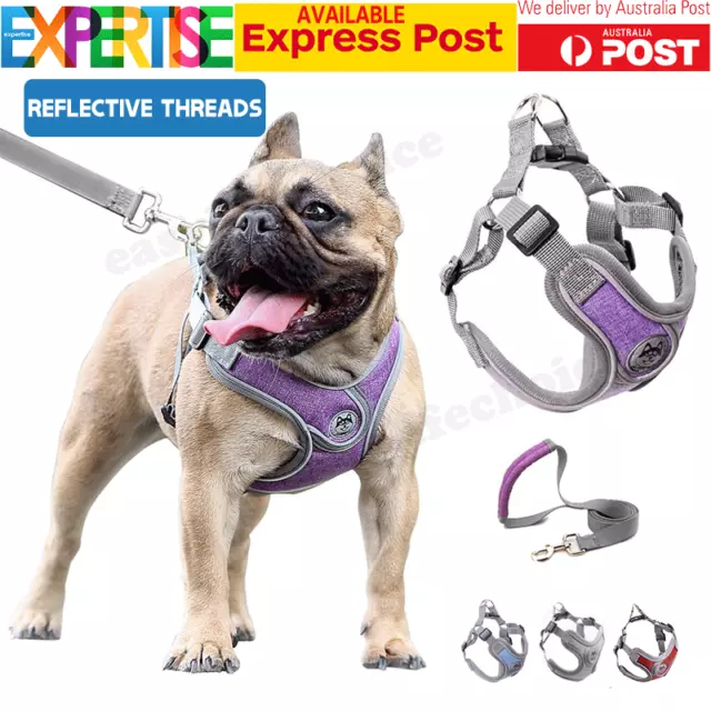 Adjustable Pet Reflective Dog Harness and Leash Set Puppy Outdoor Vest Running