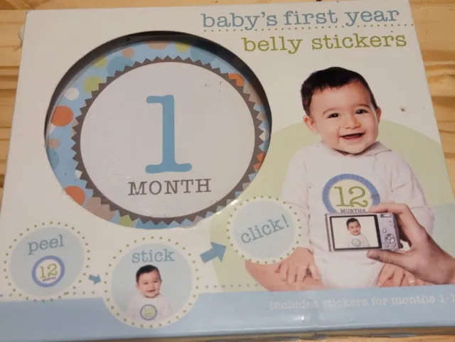 Babys First Year Belly Stickers