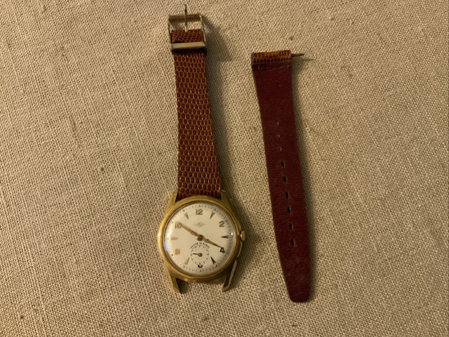 Montre Vintage Dame DILECTA Années 50 - Mécanique Manuelle, 15 Rubis, Cadran Blanc, Bracelet Cuir