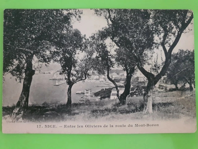 carte postale ancienne 76 NICE-HAVRAIS. Vue générale - Cartes Postales