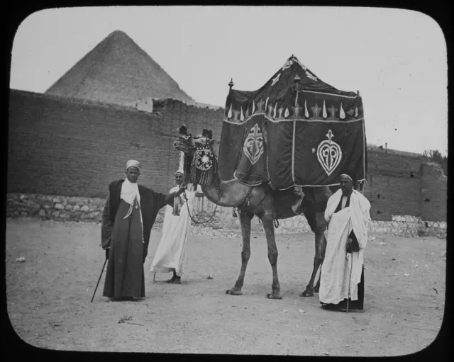 GIZEH BEDUINEN HOCHZEITSKAMEL IN DER NÄHE VON PYRAMIDEN ÄGYPTEN C1890 FOTO Magic Latern Rutsche
