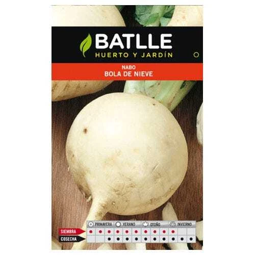 Graines De Rutabaga 'Col Vert' - Batlle - Sachet De 10g (environ 3000 Graines) - Légume Racine D'automne-hiver Rustique - 6