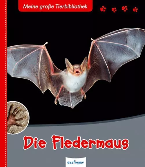 Meine große Tierbibliothek: Die Fledermaus