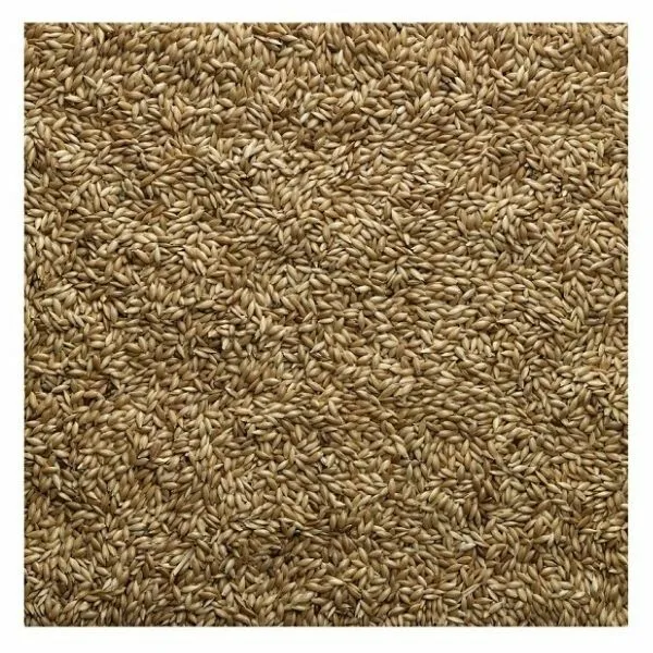 Bucktons Canary Seed 500g 1kg 2kg 5kg - Aviary Cage Bird Food in Clear Loose Bag