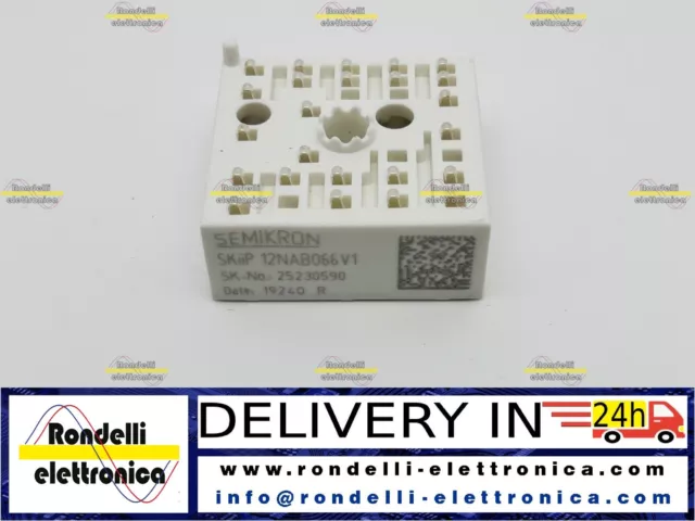 Skiip 12Nab066V1 (Dhl Express 1 Day Delivery)