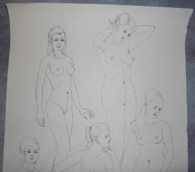 ANCIEN LOT 2 GRAND DESSIN ETUDE NU FÉMININ MASCULIN 50cm x 32cm 3