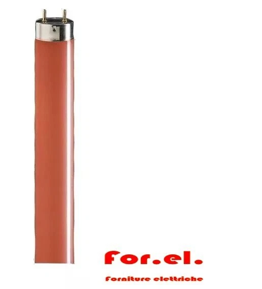 Lampada Fluorescente PHILIPS TL-D 18W/33-640 - Bianco Caldo, Lunga Durata, Per Illuminazione Domestica