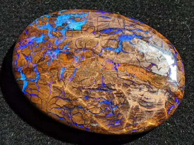 Magnifique opale koroit d'Australie de  31 cts, jeux de couleurs éléctrique.