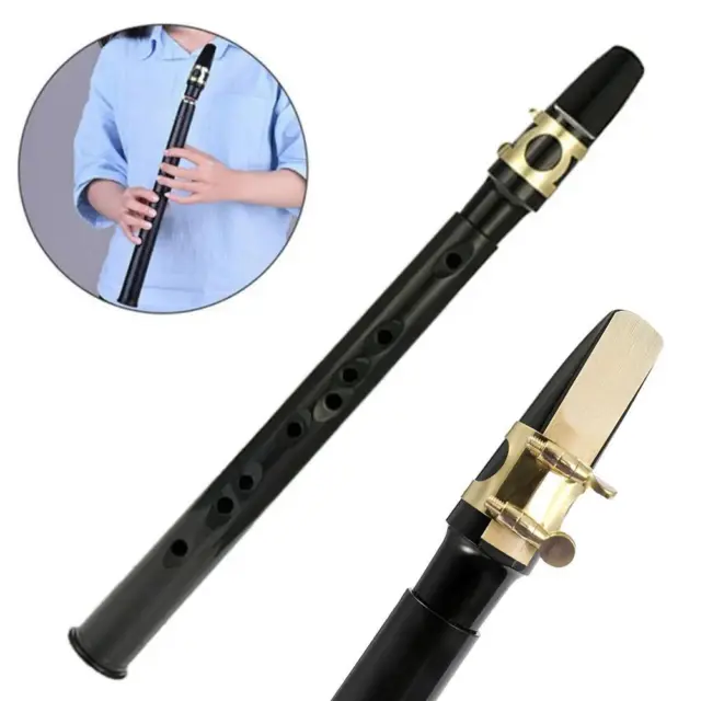 Mini Pocket Saxophone C Key Sax Woodwind Instrument with Carrying Bag Black и