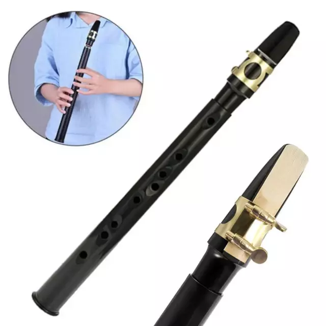 Mini Pocket Saxophone C Key Sax Woodwind Instrument with Carrying Bag Black