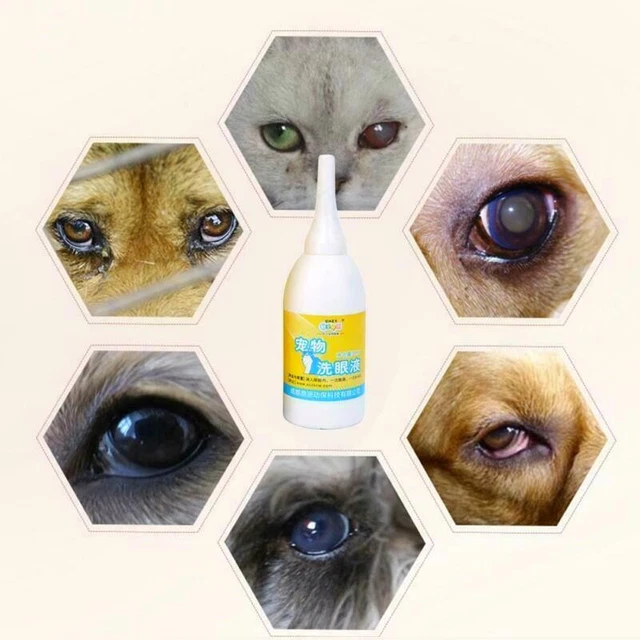PET EYE DROPS for Tear Stain Conjunctivitis Anti-Inflammation - Safe ...