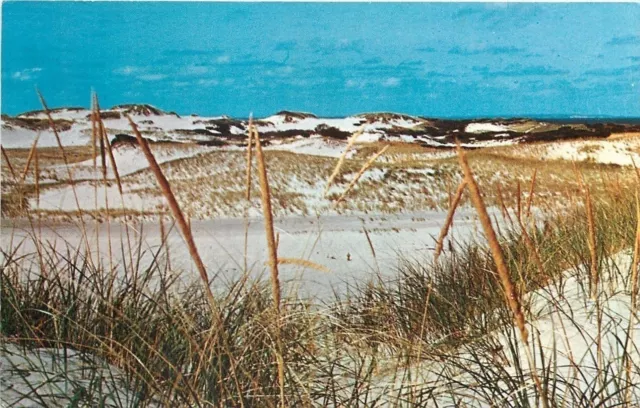 Sandy Neck on Cape Cod Massachusetts~Dunes Near Water 1960s