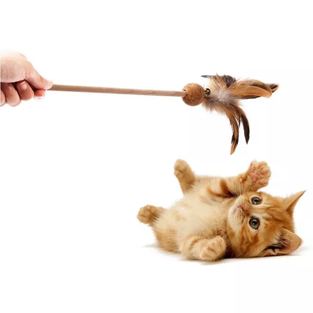 Katzenspielzeug Katzenstab Rod Catcher Spielzeug mit Holzgriff Molar Cat