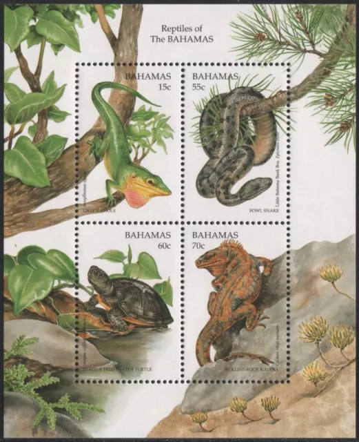Bahamas 1996 - Mi-Nr. Block 81 ** - MNH - Reptilien / Reptiles