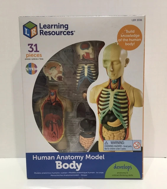 HUMAN BODY MODEL by Learning Resources, Science for Kids, Human Anatomy