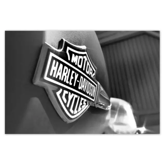 Poster WandTattoo Sticker Aufkleber Harley Davidson Logo Nr. H1976_PLNS