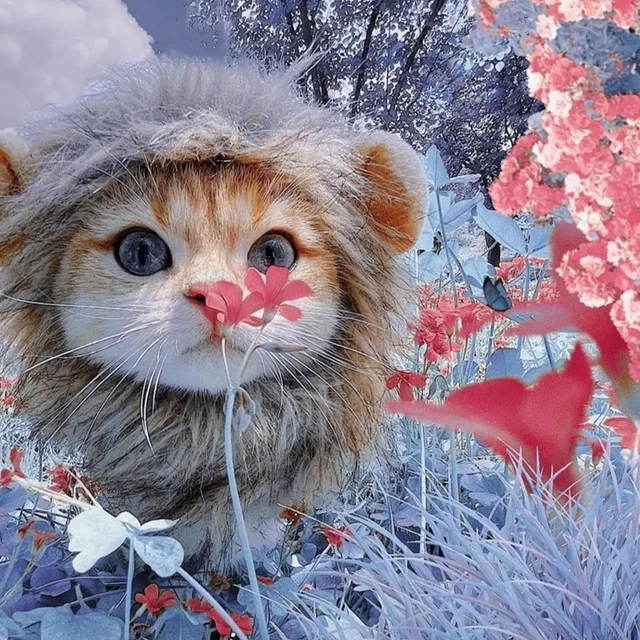 Cute Lion Mane Cat Wig Pet Small Dog Cats Costume Lion Hat Cap Wig For Cat4 F5U6